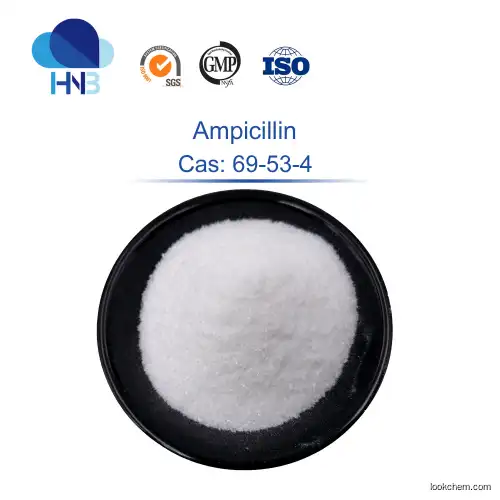 ampicillin CAS 69-53-4