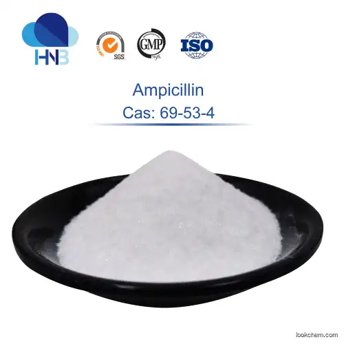 ampicillin CAS 69-53-4