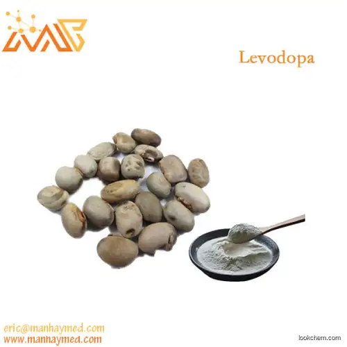 Supply Velvet Bean Extract  Levodopa 98% 59-92-7