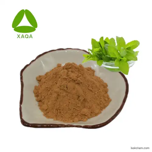 Samples Free Mentha Piperita Leaf Extract Menthol Powder 50:1