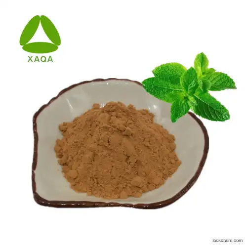 Samples Free Mentha Piperita Leaf Extract Menthol Powder 50:1