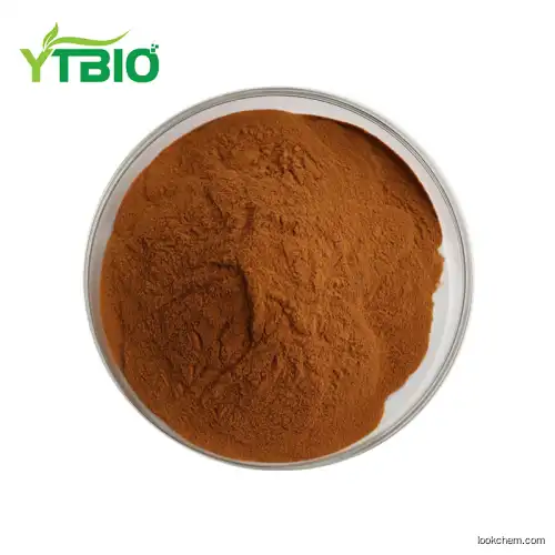 Factory Supply 40% Natural Extraction Oleuropein Powder with Best Price