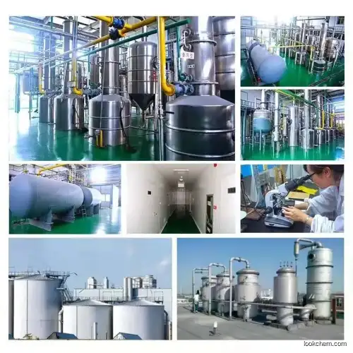 High quality 4-Methoxybenzylamine supplier in China