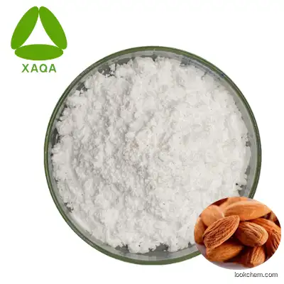 Hot Sale Apricot Seed Extract Amygdalin Powder 50:1