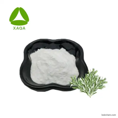 Full Stock Rosemary Herb Extract Rosmarinic Acid Powder 98%
