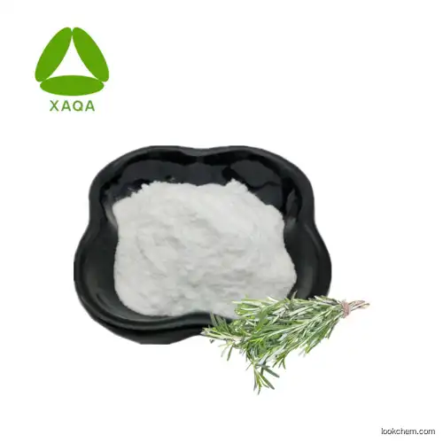 High Quality Rosemary Herb Extract Ursolic Acid Powder 98%