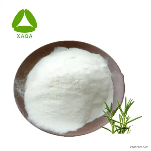 High Quality Rosemary Herb Extract Ursolic Acid Powder 98%