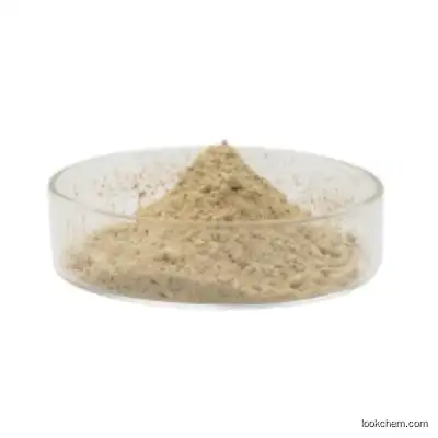 CAS No. 8047-15-2 Natural Saponin/Tea Saponin/Saponin Powder