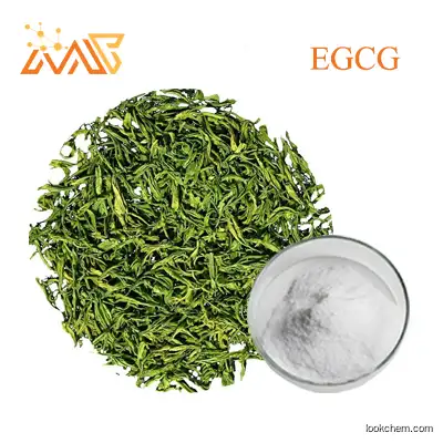 Supply Tea extract EGCG 98%  989-51-5