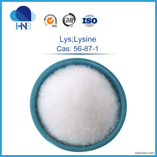 Food Grade Nutrition Enhancers CAS 56-87-1 L-Lysine Powder