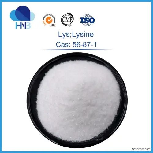 Food Grade Nutrition Enhancers CAS 56-87-1 L-Lysine Powder