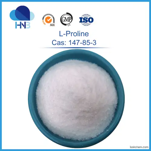 Factory Price L-Proline 99% CAS 147-85-3