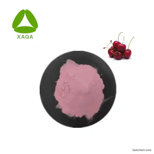 China Factory Supply Acerola Cherry Extract Vitamin C Powder 25%
