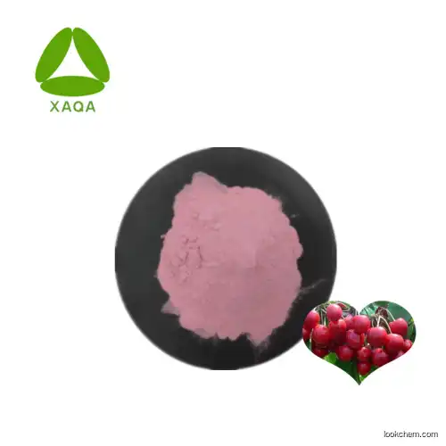 Natural Plant Acerola Cherry Extract Vitamin C Powder 25%