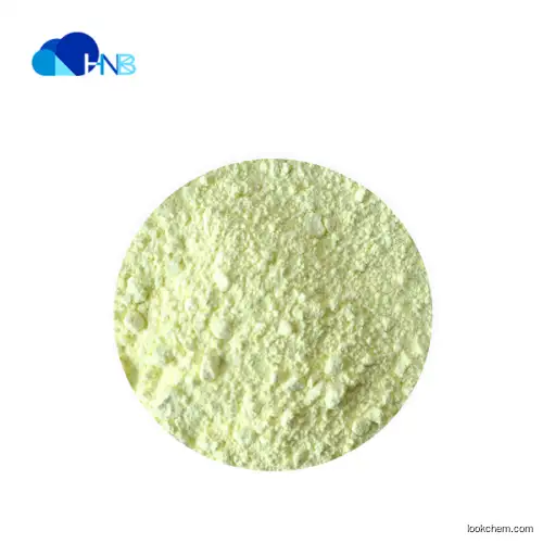 Rutin 95% 98% Powder CAS 153-18-4