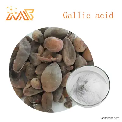 Supply Galla Chinensis extract Gallic acid 98%