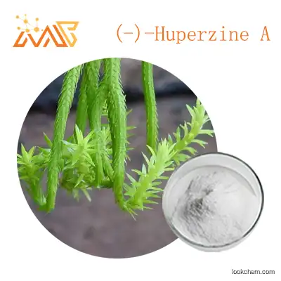 Supply Melaleuca extract (-)-Huperzine A 98%