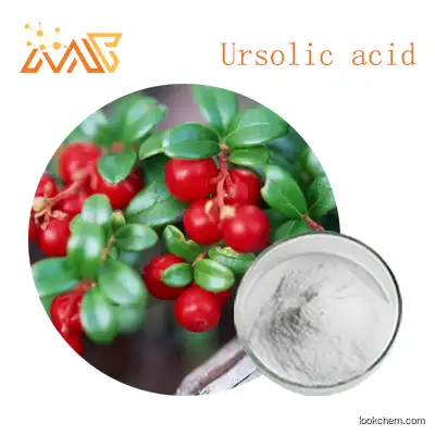 Supply Uva Ursi Extract Ursolic acid 98%