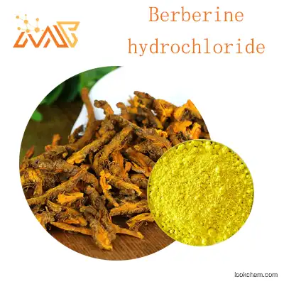 Supply Coptis root extract Berberine hydrochloride 98%