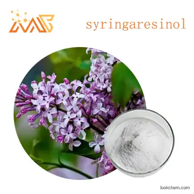 Supply Clove extract syringaresinol/DL-Syringaresil 98%
