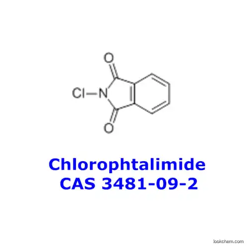 Chlorophtalimide