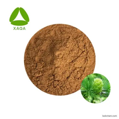 Free Samples Larch Extract Taxifolin/Dihydroquercetin Powder 50:1