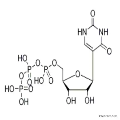 Pseudouridine 5'-Triphosphate Triethylamine Salt Cas 1175-34-4