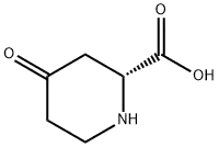 (R)-4-oxopiperidine-2-carboxylic acid