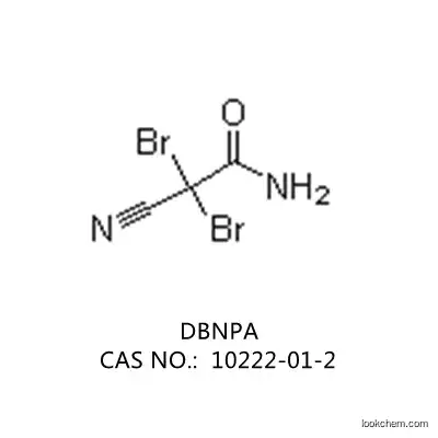 99% 2,2-Dibromo-3-Nitrilopropion?Amide(DBNPA) C3H2Br2N2O