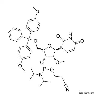 5'-O-DMT-2'-OMe-RU Phosphoramidite
