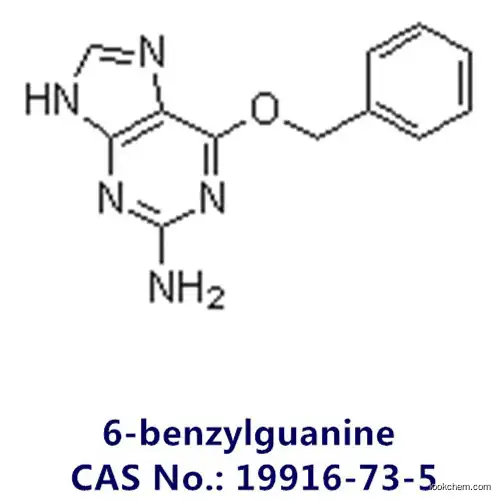 99% 6-benzylguanine C12H11N5O