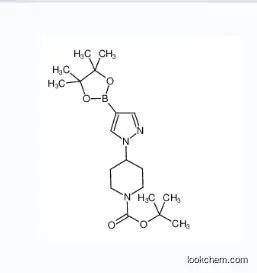 4-[4-(4,4,5,5-tetramethyl-[1,3,2]dioxaborolan-2-yl)-pyrazol-1-yl]piperidine-1-carboxylic acid tert-butyl ester