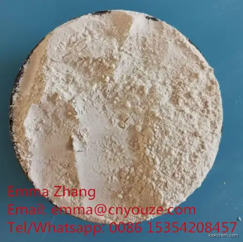 Zirconium dioxide CAS 1314-23-4 EINECS 215-227-2