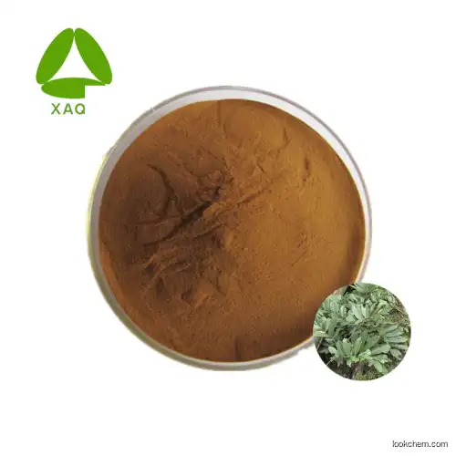Best Selling Rattan Root Extract Powder 30:1