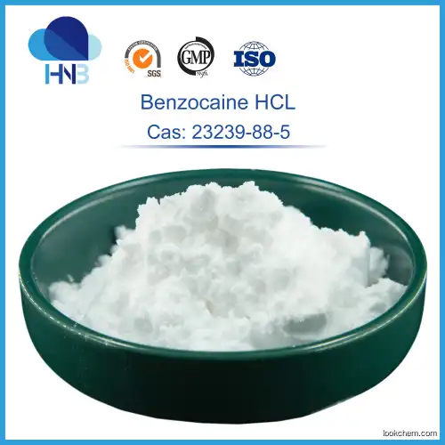 ISO factory supply 99% Lidocaine HCl 73-78-9
