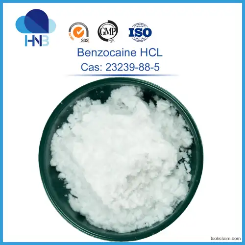 ISO factory supply 99% Lidocaine HCl 73-78-9