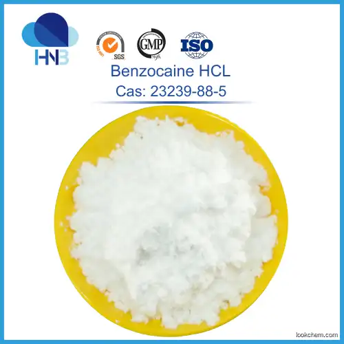 ISO factory supply 99% Lidocaine HCl 73-78-9