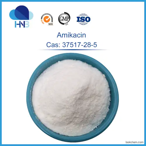 ISO factory good quality CAS 37517-28-5 Amikacin