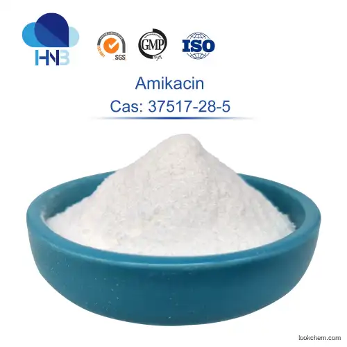 ISO factory good quality CAS 37517-28-5 Amikacin