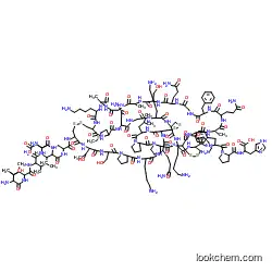 MSS2022 - Margatoxin