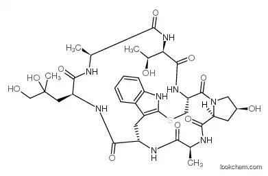 MSS2026 - Phalloidin