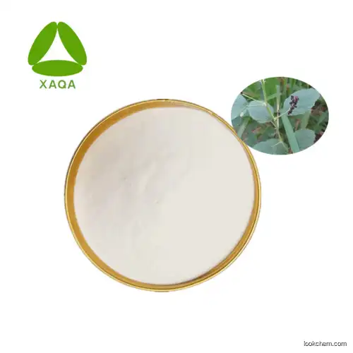 Factory Supply Psoralea Corylifolia Fruit Extract Psoralen Powder 98%