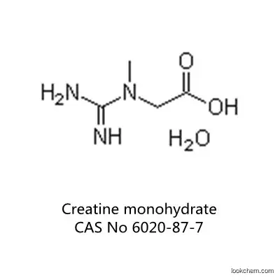 Creatine monohydrate, food grade EINECS No 200-306-6