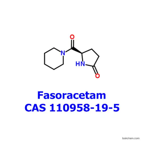 glutamate, Fasoracetam 110958-19-5