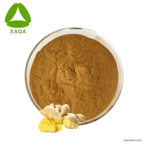 Full Stock Ginger Extract Curcumin Powder 98%