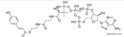 Coenzyme A, S-[(2E)-3-(4-hydroxyphenyl)-2-propenoate]