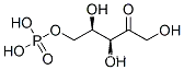 xylulose-5-phosphate
