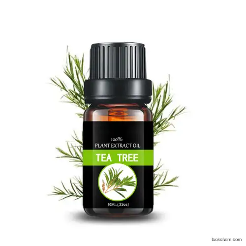 Pure natural essential oil Tea tree oil with best price and fast lead time