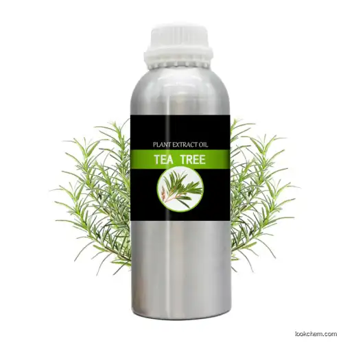 Pure natural essential oil Tea tree oil with best price and fast lead time