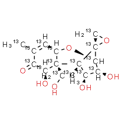 STD#3104U Nivalenol 13C isotope labeled standard